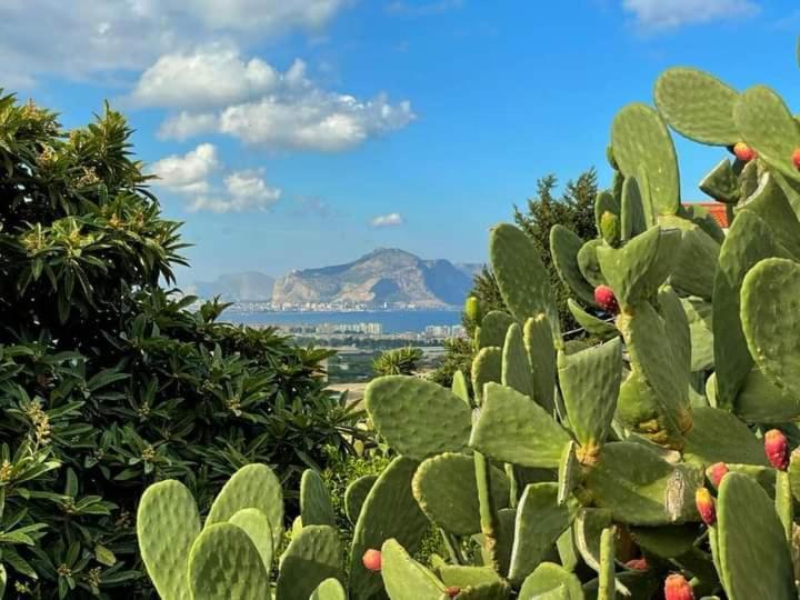 Il Siciliano Home Palerme Extérieur photo